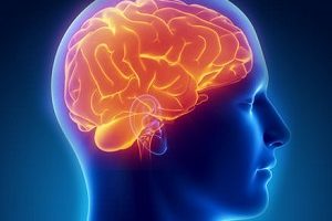 neurologia neurologia