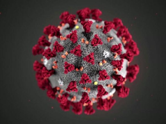 corona virus image