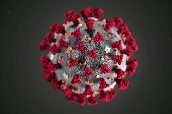corona virus image