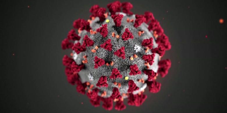corona-virus-image