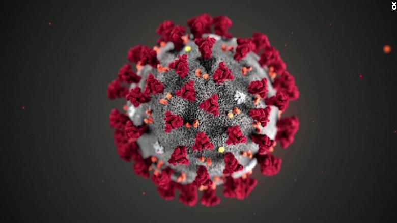 corona-virus-image